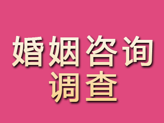 通川婚姻咨询调查